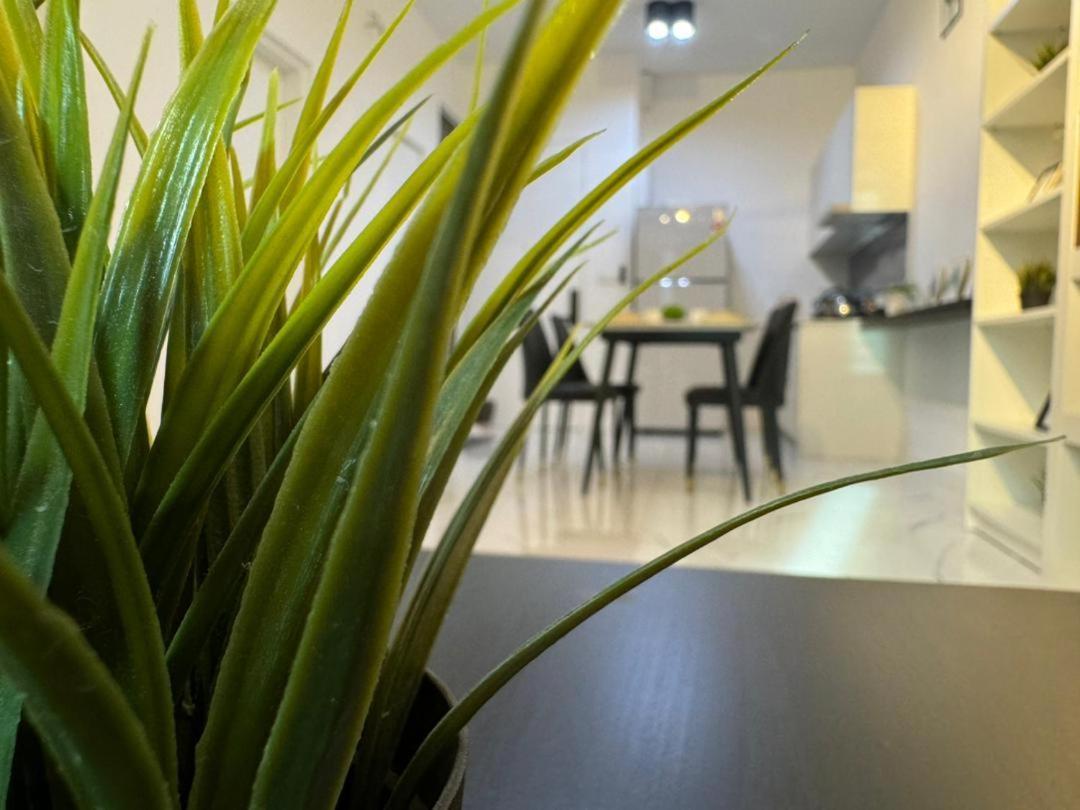 Cubic Botanical By Ancubic, Bangsar South, Kl By Hometaric Kuala Lumpur